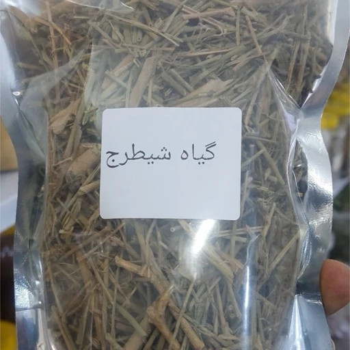 گیاه شیطرج(غضروف ساز طبیعی) کپی